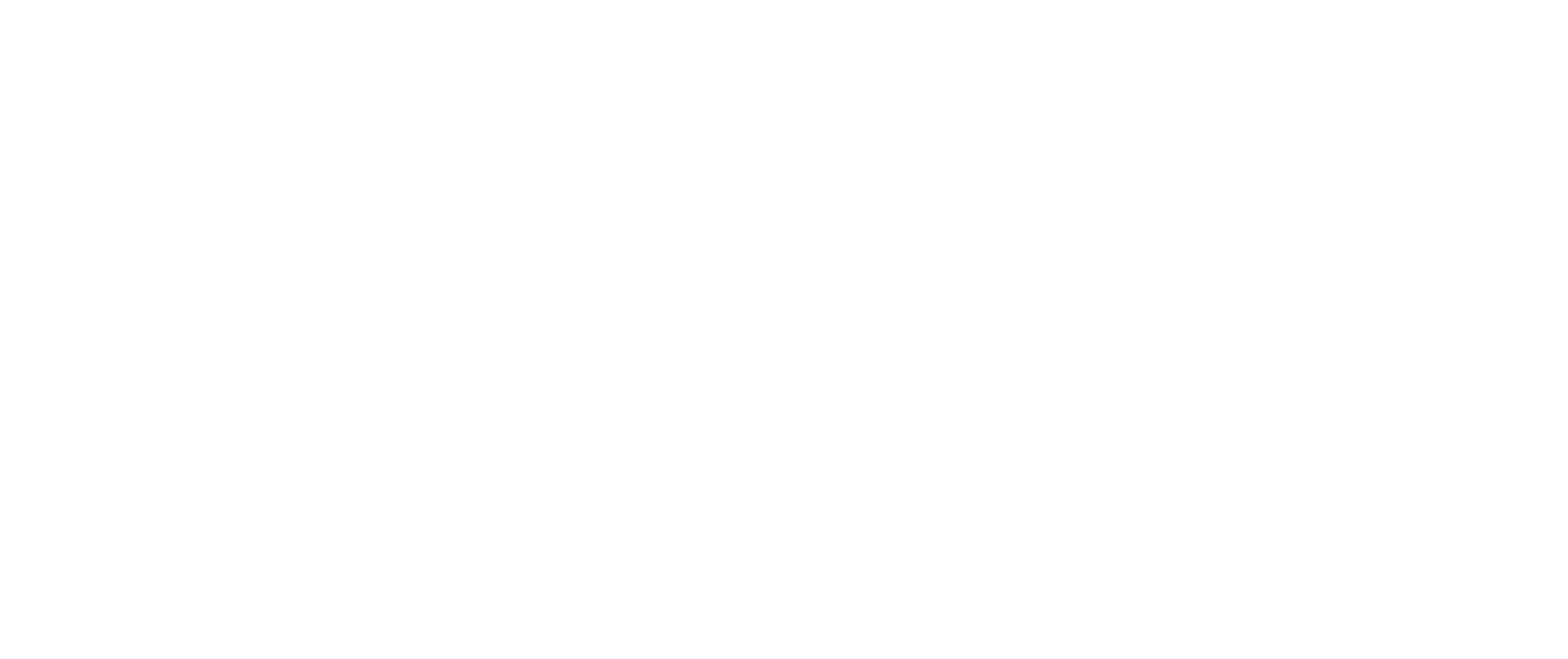 ISS Logo Reverse